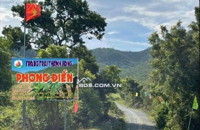 CHÍNH CHỦ CẦN TIỀN HẠ GIÁ BÁN TRANG TRẠI 17.7 Ha TẠI XÃ PHÚ LẠC, TUY PHONG, BÌNH THUẬN (Cũ)